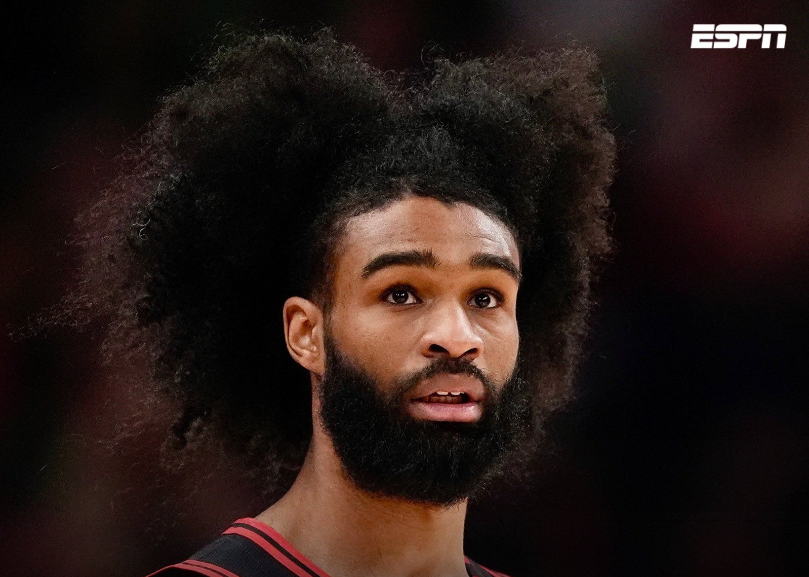 शम्स: कोबी व्हाइट आज सीज़न के अपने पहले सीज़न के लिए जैज़ के खिलाफ कोर्ट पर वापसी करेंगे