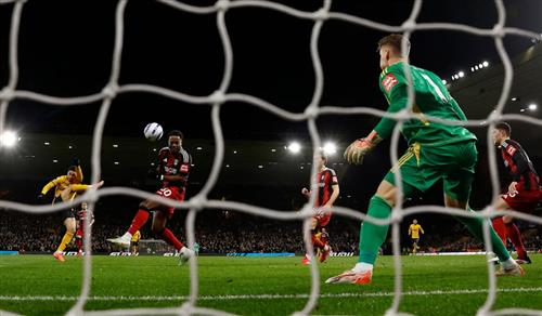 भेड़ियों बनाम फ़ुलहम