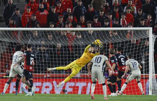 मलोरका बनाम मजबूत