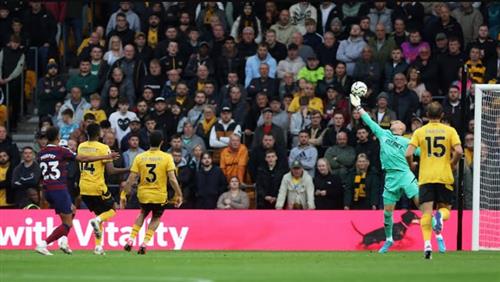 वॉल्व्स बनाम न्यूकैसल यूनाइटेड