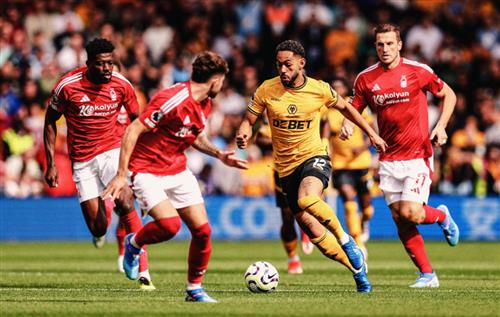 नॉटिंघम वन बनाम भेड़िये