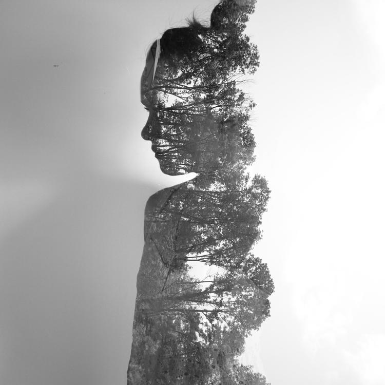 पैक्सटन